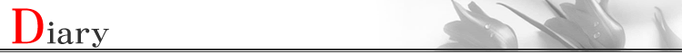 Diary