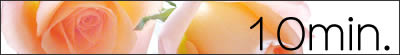 10min.
