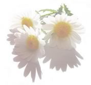 �����炭��